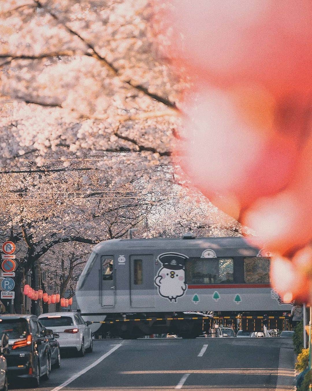 Berlin Tokyoさんのインスタグラム写真 - (Berlin TokyoInstagram)「Gentle afternoon light adds to the peaceful ambience of the Tokyo city awash in delicate hues of pink. . . . #hellofrom #tokyo #japan」4月30日 21時26分 - tokio_kid