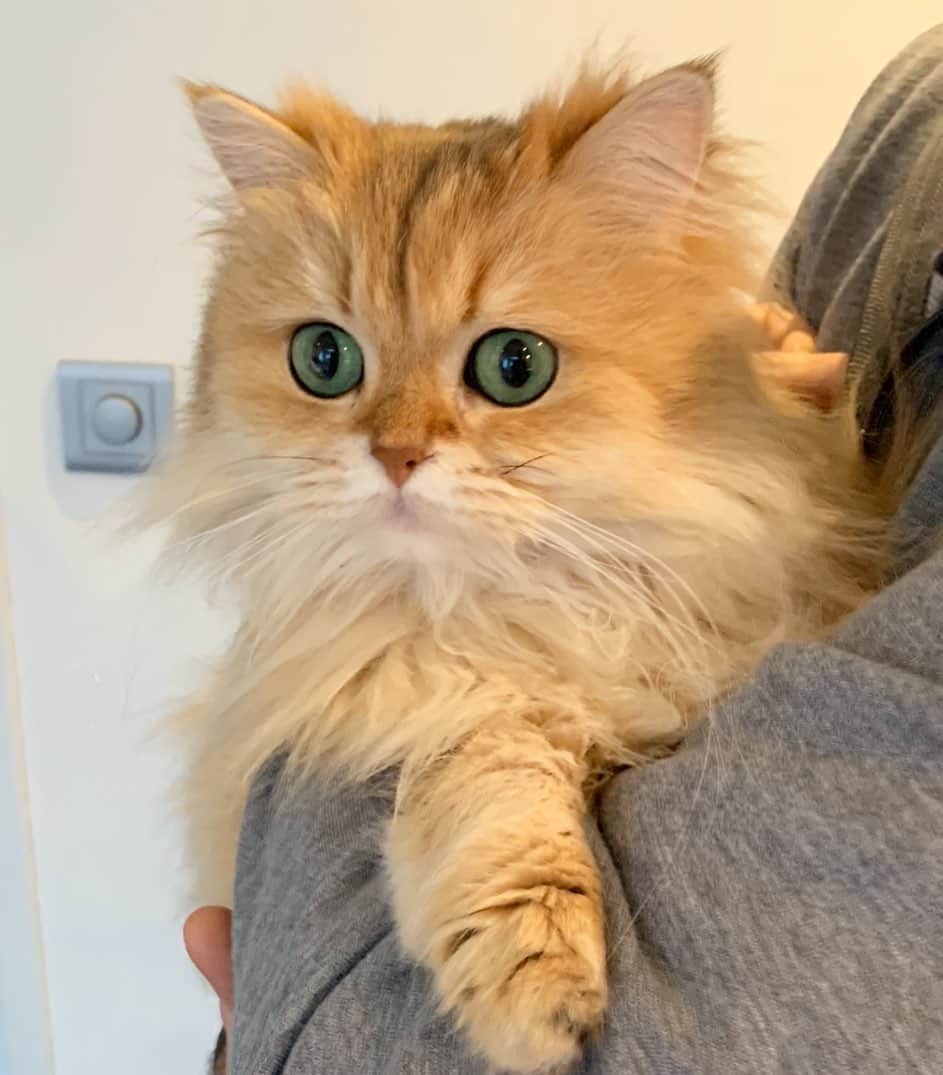 Smoothieのインスタグラム：「When you realize that a third of the year is already over.」