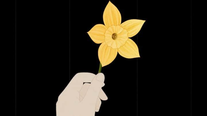 椎木俊介のインスタグラム：「Story of Flowers 2  We are delighted to announce the launch of Story of Flowers 2, the second film in our botanical animation series.  For full version, please visit our YouTube channel [AMKK000]: https://youtu.be/SuhR3zBypog  The Story of Flowers animation series launched in 2017 as a gift to children worldwide, with the first film exploring the life cycle of flowering plants. In part two we delve into the relationship between flowers and humans: the way we involve flowers in our lives through various cultures and practices. The animation looks at flowers not from a material viewpoint; instead seeing them as symbols of connection, a way we share emotions. It is Azuma's vision to show children the deep connection between flowers and ourselves, and turn their eyes to the power and potential of flowers.  This is a difficult time for people globally, with so many of us living under the influence of Covid-19. It is our belief that flowers can encourage and heal, silently helping us move forward.  We hope that this beautiful four-minute animation can be enjoyed by both children and adults across the globe, as we wish from the bottom of our hearts for the return of peaceful days.  @azumamakoto  @shiinokishunsuke  @amkk_project  @katiekatiescott  @jamespaulley  @eriiinariiita  #azumamakoto #shiinokishunsuke #amkk #katiescott #storyofflowers2 #はなのはなし #botanicalanimation #makotoazuma #東信 #東信花樹研究所 #stayhome」