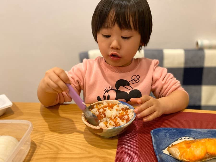 才賀紀左衛門さんのインスタグラム写真 - (才賀紀左衛門Instagram)「今日は豪華な食卓でした😋👍 最近娘がいくらを食べたいと言ってたのでママイクコの「おうちdeマルシェ」でお得なセットがあったので頼んであげた🤤👍 娘ハイテンションでめちゃくちゃ贅沢丼になりました😂👌 #育児日記 #幸せな時間 #家族 #幸せ #子育てパパ #シンパパ #シンママ #子育てグラム #食育 #遊び #健康 #魚  #ハッピー #おうち時間 #子育て日記 #子育てパパ #子育てママ #子どものいる暮らし #子どものいる生活 #子供との時間 #食育 #食事 #大切 #大切な家族 #幸せをありがとう #育児あるある #子育て奮闘中 #おうちdeマルシェ #ママイクコ #かいせい物産 #シャケいくら詰め合わせセット」4月30日 21時33分 - kizaemon0213