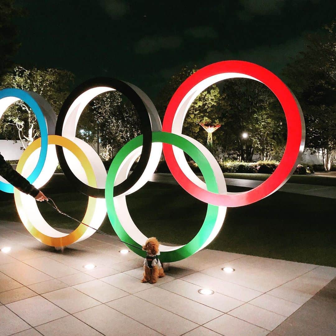 カオルコさんのインスタグラム写真 - (カオルコInstagram)「2021Tokyo... きっと素敵なことが待っているはず。  #prayfortheworld #walkmydog #waiting #olympic #tokyo #love #ライフスタイル #kくん #dogstagram #2021」4月30日 21時50分 - ka_ruk_
