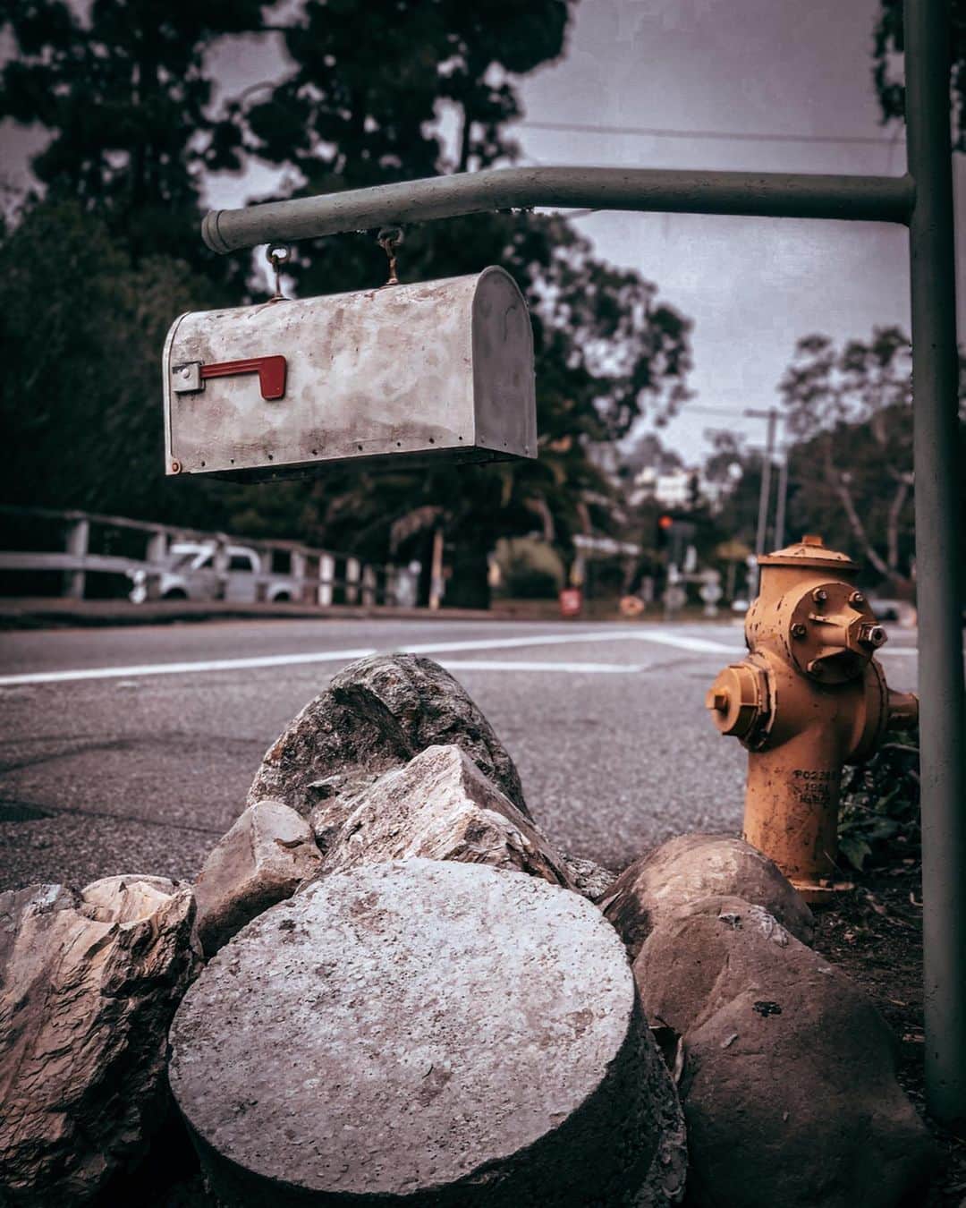 カリディー・イングリッシュさんのインスタグラム写真 - (カリディー・イングリッシュInstagram)「I’ve been taking long walks and brushing up on my #photography. Before I modeled I was a photographer. I could look and take photographs all day! I made an account if you want to follow me! @iseethisandthat . (Thank you to those you have 🤗) As the time goes on, I’m challenging myself to learn more and improve. Which one is your favorite?Xx  @iseethisandthat」4月30日 22時02分 - carideeenglish