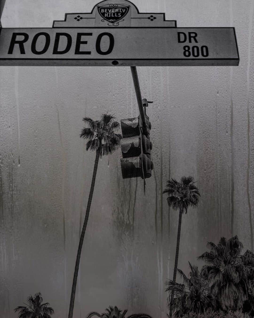 カリディー・イングリッシュさんのインスタグラム写真 - (カリディー・イングリッシュInstagram)「I’ve been taking long walks and brushing up on my #photography. Before I modeled I was a photographer. I could look and take photographs all day! I made an account if you want to follow me! @iseethisandthat . (Thank you to those you have 🤗) As the time goes on, I’m challenging myself to learn more and improve. Which one is your favorite?Xx  @iseethisandthat」4月30日 22時02分 - carideeenglish