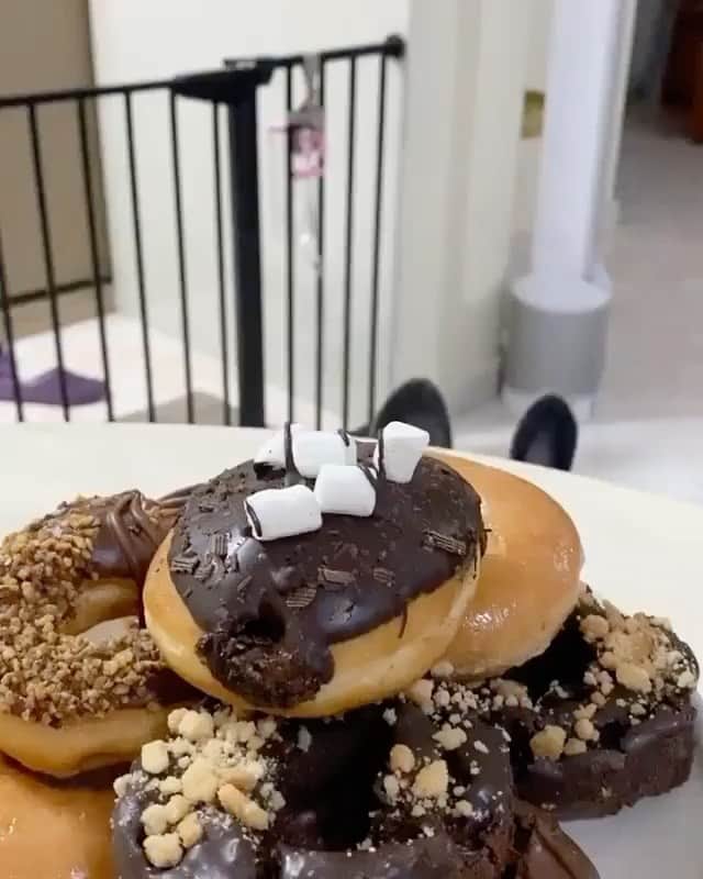The Critter Havenのインスタグラム：「Looks delicious Video by @coop.deedoo  #TheCritterHaven」