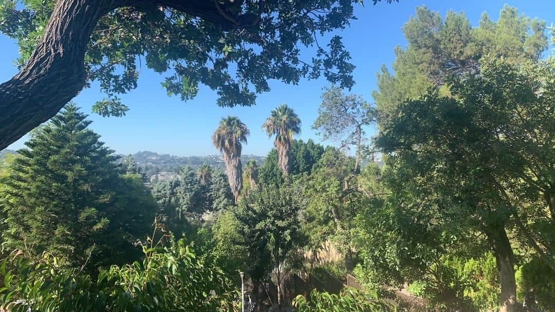 Leslie Camila-Roseのインスタグラム：「Beautiful Los Angeles... Remember when we could hug and visit our friends freely? Soon we’ll hug and kiss x40 ✨🙏❤️」