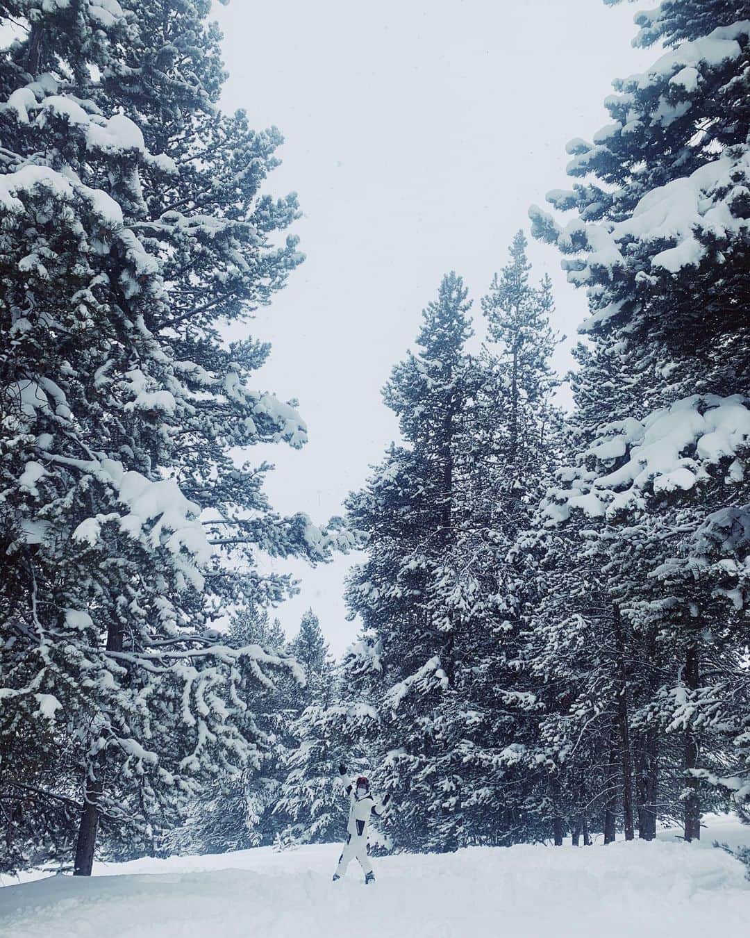 ショーン・ホワイトさんのインスタグラム写真 - (ショーン・ホワイトInstagram)「Do you wanna build a snowman?? #Frozen」5月1日 8時34分 - shaunwhite