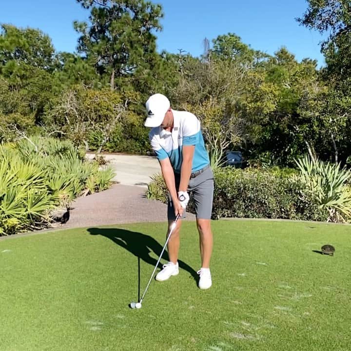 ダニエル・バーガーのインスタグラム：「Ready for birdies again @adidas #hometeam #createwithadidas」