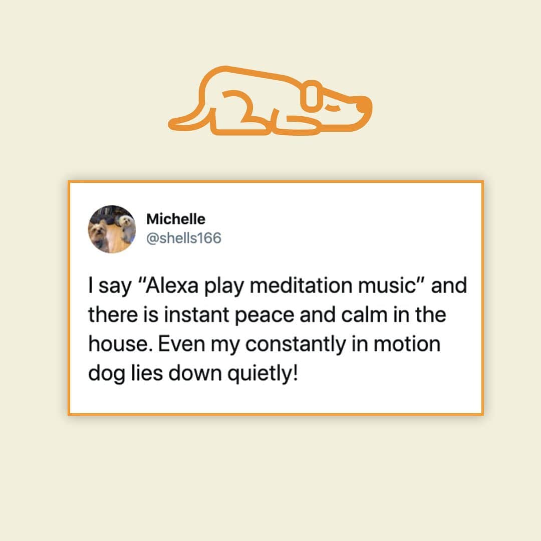 Amazonさんのインスタグラム写真 - (AmazonInstagram)「Staying at home right now means wearing multiple hats. From parent, to friend, to employee, to caregiver and even new titles like chef and master organizer, a little help can make the days easier. Just #AskAlexa ⬆️」5月1日 0時05分 - amazon