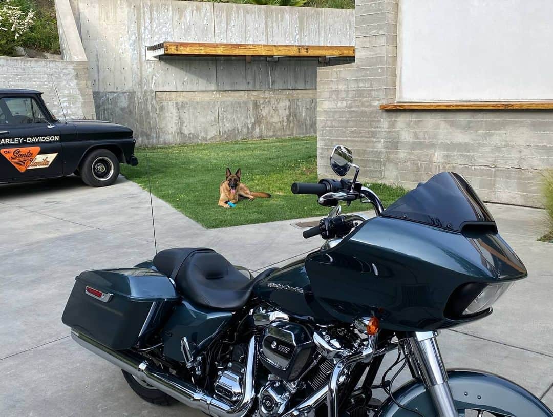 ロバート・パトリックさんのインスタグラム写真 - (ロバート・パトリックInstagram)「Someone is curious about the Spruce colored FLTRX - roadglide standard #blitz #germansheperd #germanshepherdsofinstagram #germanshepherds #dog #dogs #harleydavidson #harley #ride #motorcycle #motorcycles #america #passion #isolation #truck #architecture #canyon #socal #hills #california」5月1日 1時42分 - ripfighter