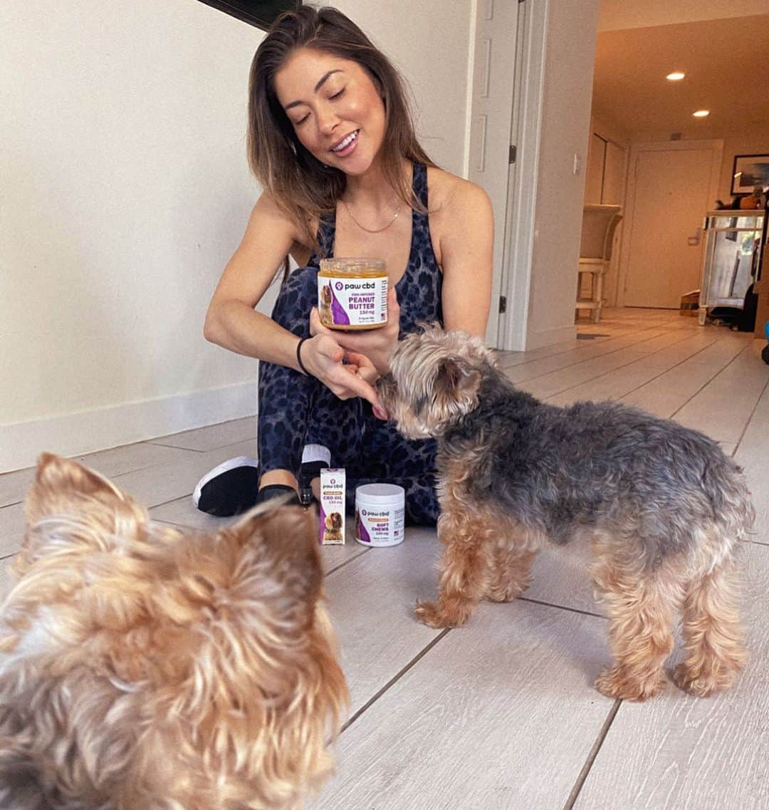 アリアニー・セレステさんのインスタグラム写真 - (アリアニー・セレステInstagram)「I’m so happy to use @cbdmd.usa for my fur babies. I love knowing they are getting top quality Cbd to help with their joints, anxiety, digestion, and inflammation. If you ever wondered about Cbd, check out @cbdmd.usa and use code Arianny for $ off! - #cbdmd #cbdhealth #cbdpethealth #ad」5月1日 2時12分 - ariannyceleste