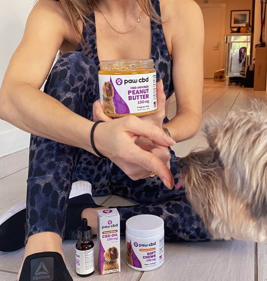 アリアニー・セレステさんのインスタグラム写真 - (アリアニー・セレステInstagram)「I’m so happy to use @cbdmd.usa for my fur babies. I love knowing they are getting top quality Cbd to help with their joints, anxiety, digestion, and inflammation. If you ever wondered about Cbd, check out @cbdmd.usa and use code Arianny for $ off! - #cbdmd #cbdhealth #cbdpethealth #ad」5月1日 2時12分 - ariannyceleste