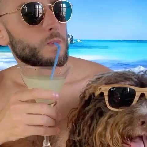 DogsOf Instagramのインスタグラム：「“Vacations in 2020 be like...🌴” writes @trufomakesmyday  #dogsofinstagram」