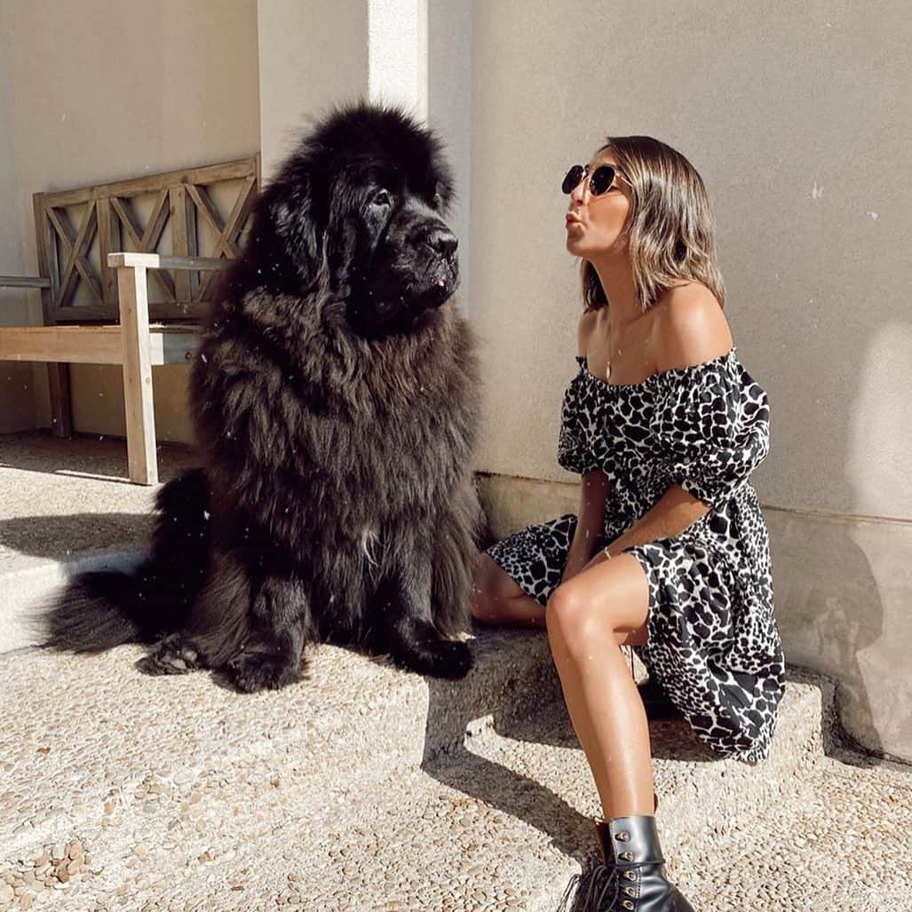 Target Styleのインスタグラム：「When your OOTD matches your dog's OOTD. 🐾 #MyWhoWhatWear 📷: @thetoastylife」