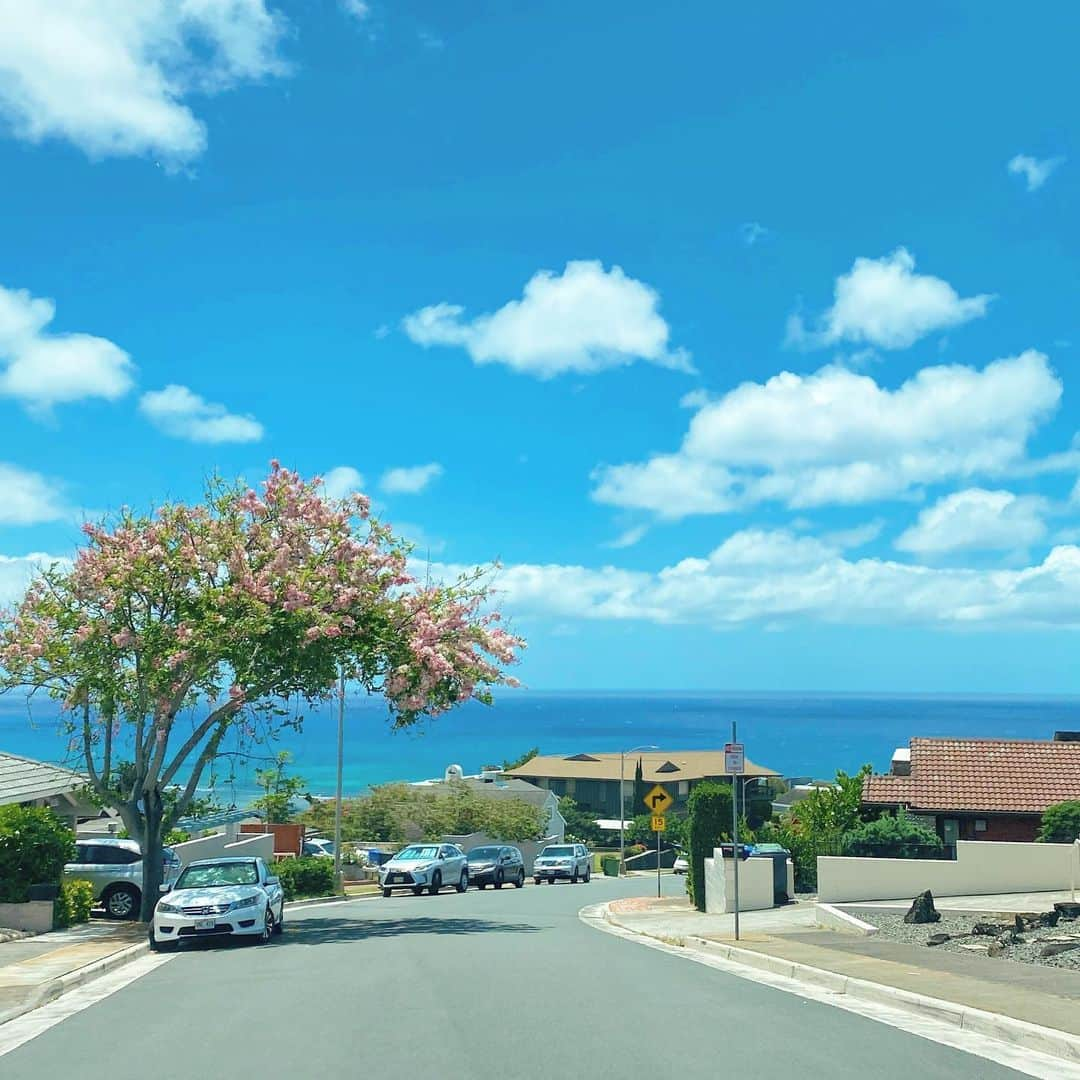 マキ・コニクソンさんのインスタグラム写真 - (マキ・コニクソンInstagram)「Good morning from Hawaii!! 私が勝手に呼んでるハワイのサクラの木の花が咲いてきたよ！🌸自然はブレないね！😊 今日のMaki’s English Lessonは！☝🏼 I will 〜”〜するつもり/予定”と言う意思未来です。willの後には動詞の原型を入れましょう！例文は☝🏼 I will go to Hawaii this summer. “今年の夏にハワイにいくつもり/予定” I will eat(have) pasta for lunch today. “今日のランチにパスタを食べるつもり” 食べるはeatでもhaveでもどちらでも大丈夫です！👌🏼 ここで応用です！☝🏼 for breakfast, for lunch, for dinnerは”朝食に、ランチに、ディナーに”という意味です。forが前置詞として使われます。 まる暗記しちゃいましょう！ 例文は☝🏼 I will eat sushi for dinner tonight. “今夜はディナーにお寿司を食べるつもり” I will make açaí bowls for breakfast tomorrow morning. “明日の朝、朝食にアサイボウルを作るつもり” となります！ ここで大切な事は！☝🏼 前にやったI want to ( wanna)の構文は”〜したい”でもI will 〜は”〜するつもり(予定)”です。この違いは☝🏼 I want to (wanna) go to Hawaii this X’mas. “今年のクリスマスにハワイに行きたい”でも現実に行くかは分かりません。 しかし、I will go to Hawaii this X’masは”今年のクリスマスにハワイにいくつもり (予定)” なので will の方が強いですね！ I want to (wanna)は希望です！もちろん want toからwill になる事もあります！ I wanna eat Tarako Pasta !!!! だから I will make it for lunch today! “たらこパスタ食べたいからランチに作るー！”って事はあるあるですよね！😊 I want to (wanna)speak English  very well. “英語を上手に話したい”よりも I will speak English very well”英語をうまく話すつもり/話すぞ！”ぐらい強い意志をもってお勉強しましょうね！💪🏼 最後に！私から I will make you speak English very well! “私は皆んなを英語が上手に話せるようにします！(するつもり)” 前にお勉強したmake 〜”〜させる”の構文とwill〜”〜するつもり”のコラボです！ ゆっくり丁寧にやっていきましょう！ 今日もお互いアロハッピーでねー！😄🤙🏼 #エアハワイ🌺  #頑張れハワイ！#頑張れ世界🌏  #stayhome  #makisenglishlesson」5月1日 6時58分 - makikonikson