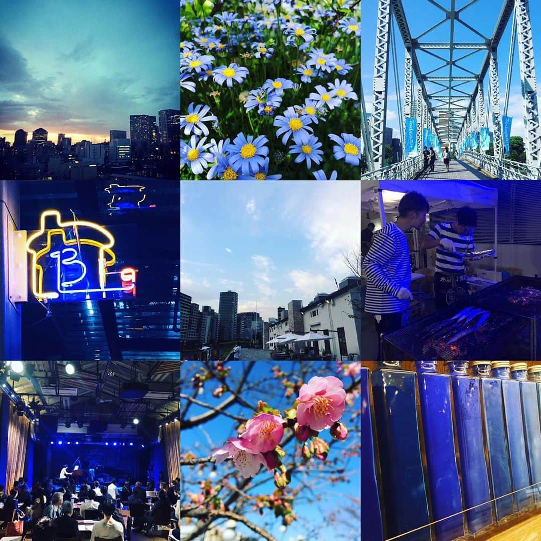 Warehouse TERRADA 寺田倉庫のインスタグラム：「画材ラボPIGMENT TOKYOのInstagram（@pigment_tokyo）では、「PIGMENT BLUE PROJECT」を開催しています。 気持ちを静め、落ち着かせる効果があると言われる「青」を用いた作品を投稿するプロジェクトです。 寺田倉庫公式アカウントもこのプロジェクトに賛同し、これまでの投稿から、青が印象的な画像を集めて一つの作品にしました。  #pigmentblueproject #pigmentblue #PIGMENT #PIGMENTTOKYO #art #寺田倉庫 #warehouseterrada #天王洲アイル #tennoz #stayhome #おうち時間 #blue #healyourself #photocollage」
