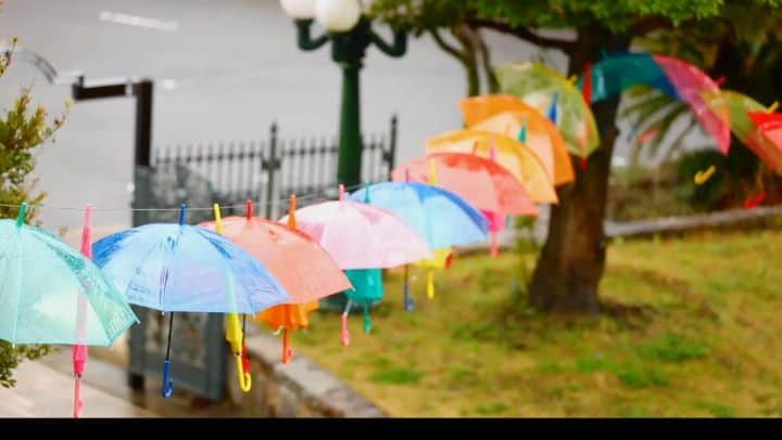 オードヴィーウェディング【名古屋・結婚式場】 のグルメインスタ