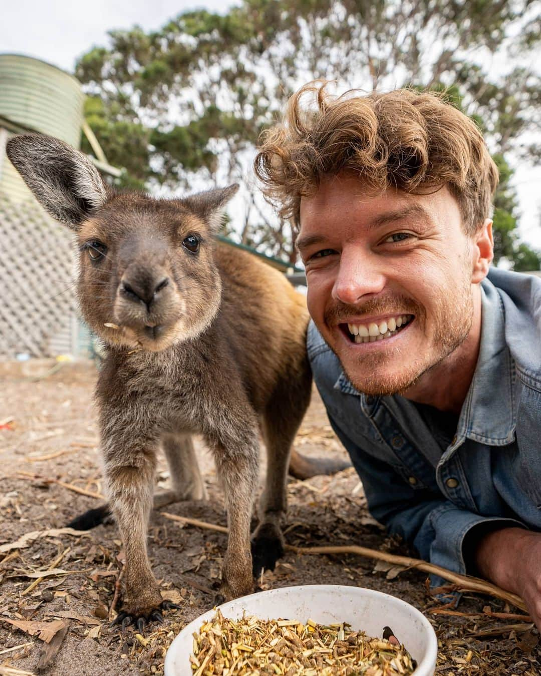 アラン・ディクソンのインスタグラム：「Instagram VS Reality 🐾 most pet owners would relate, so you too should get a pet(not a kangaroo) for all the love! (probably the best member of your family). But seriously with all the mental pressure of the world right now of you're considering adopting an animal they will lift up your spirits immensely. #adoptdontshop #adoptadog #adoptacat」