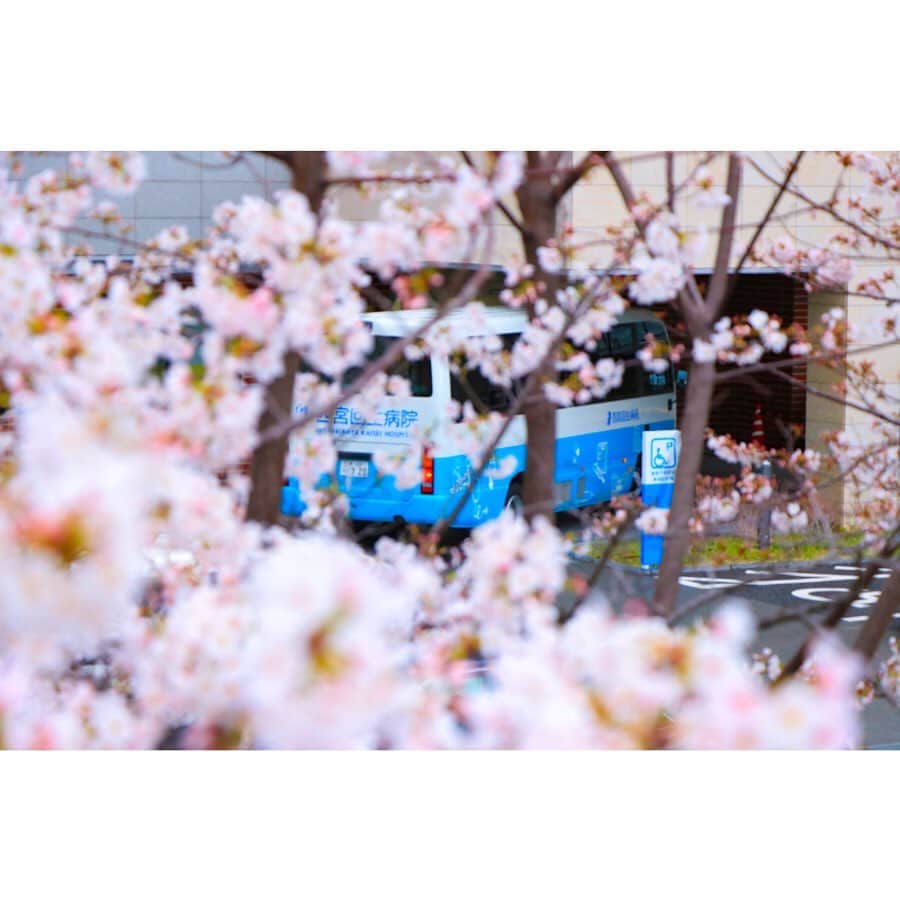 平成医療福祉グループさんのインスタグラム写真 - (平成医療福祉グループInstagram)「いつものようにお花見ができないこの春ですが、グループ施設・病院に咲いた桜でお花見しませんか🌸 --- 期間限定企画 「HMWお花見紀行」 第4回【大阪・山口・和歌山・兵庫の病院・施設】 --- 今回は、まだ紹介できていなかった病院・施設の桜をご紹介したいと思います🌸 -- 【写真①②③泉佐野優人会病院（大阪府）】 病院の春の風物詩ともなっている桜の木🌸今年も見事に咲きました！ 患者さん、スタッフさんも嬉しそうに眺めていたそうです☺️ -- 【写真④⑤⑥山口平成病院（山口県）】 病院の周りに咲き誇った桜が素敵です👏周りの緑ともマッチして、とてもきれいな風景を生み出しています✨ -- 【写真⑦⑧緑風苑（和歌山県）】 こちらも施設周りに咲いた桜🌸夜の様子も素敵です🌛お花見はできませんでしたが、利用者さんたちはお散歩しながら桜を眺められたそうです👟 -- 【写真⑨⑩西宮回生病院（兵庫県）】 敷地内に3本ある桜の木🌸そのなかで「標本木」を決めて、桜の観察をしているそうで、5輪以上咲くと「開花宣言」となるそうです✋✨ -- お花見紀行は今回で一旦終了👋 次回から、また新たな期間限定企画をお届けする予定です！ お楽しみに😉 --- #平成医療福祉グループ #HMW #お花見紀行 #絶対に見捨てない #医療 #福祉 #泉佐野優人会病院 #山口平成病院 #緑風苑 #西宮回生病院 #泉佐野市 #岩国市 #海南市 #西宮市 #リハビリテーション #病院 #チーム医療 #慢性期 #回復期 #特別養護老人ホーム #お花見 #インスタ花見 #おうち花見 #おうちで花見 #自宅待機を楽しもう #おうち時間 #家にいよう #stayhome #コロナに負けるな #桜に癒されました 🌸☺️」5月1日 17時59分 - hmw_group