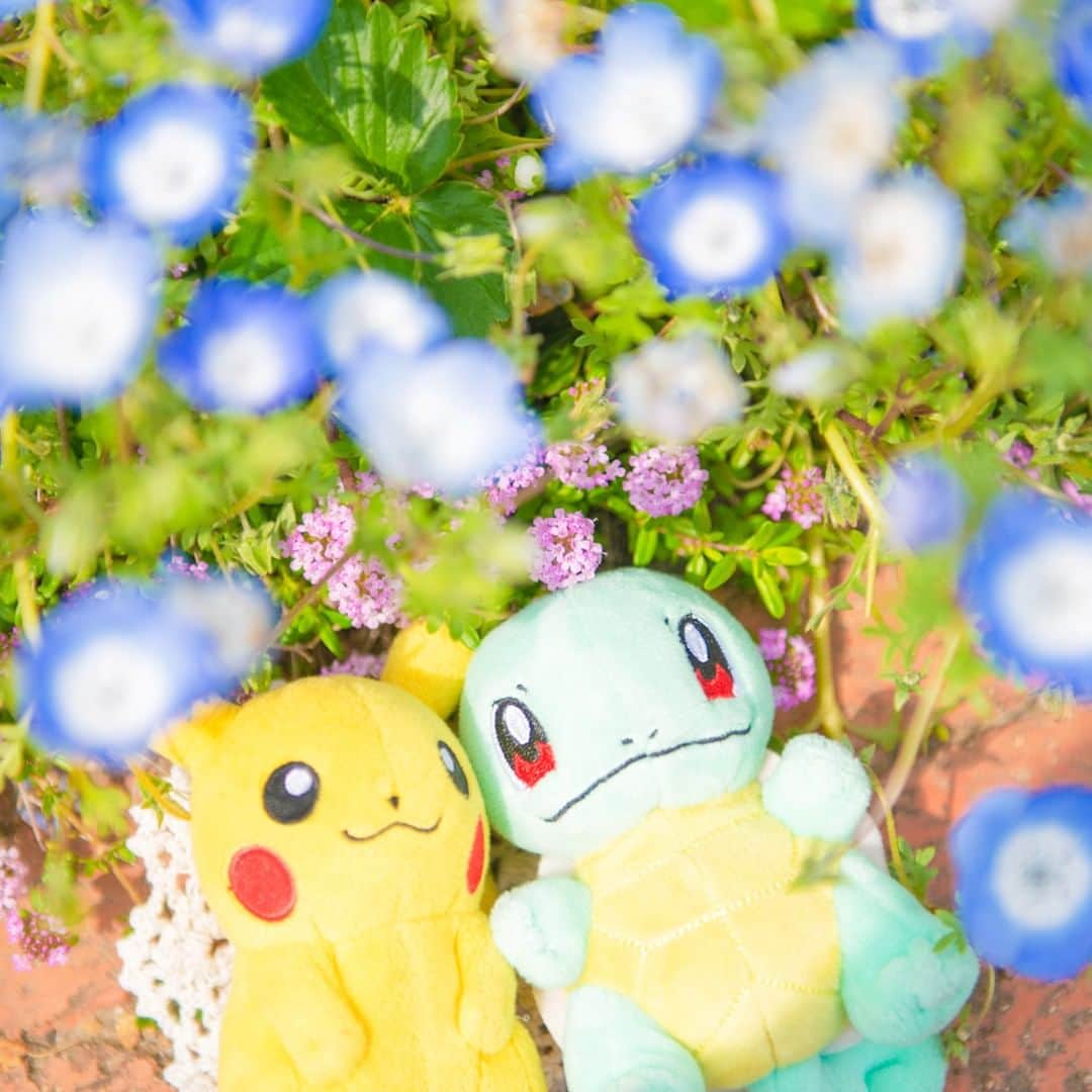 ピカチュウ公式Instagramのインスタグラム