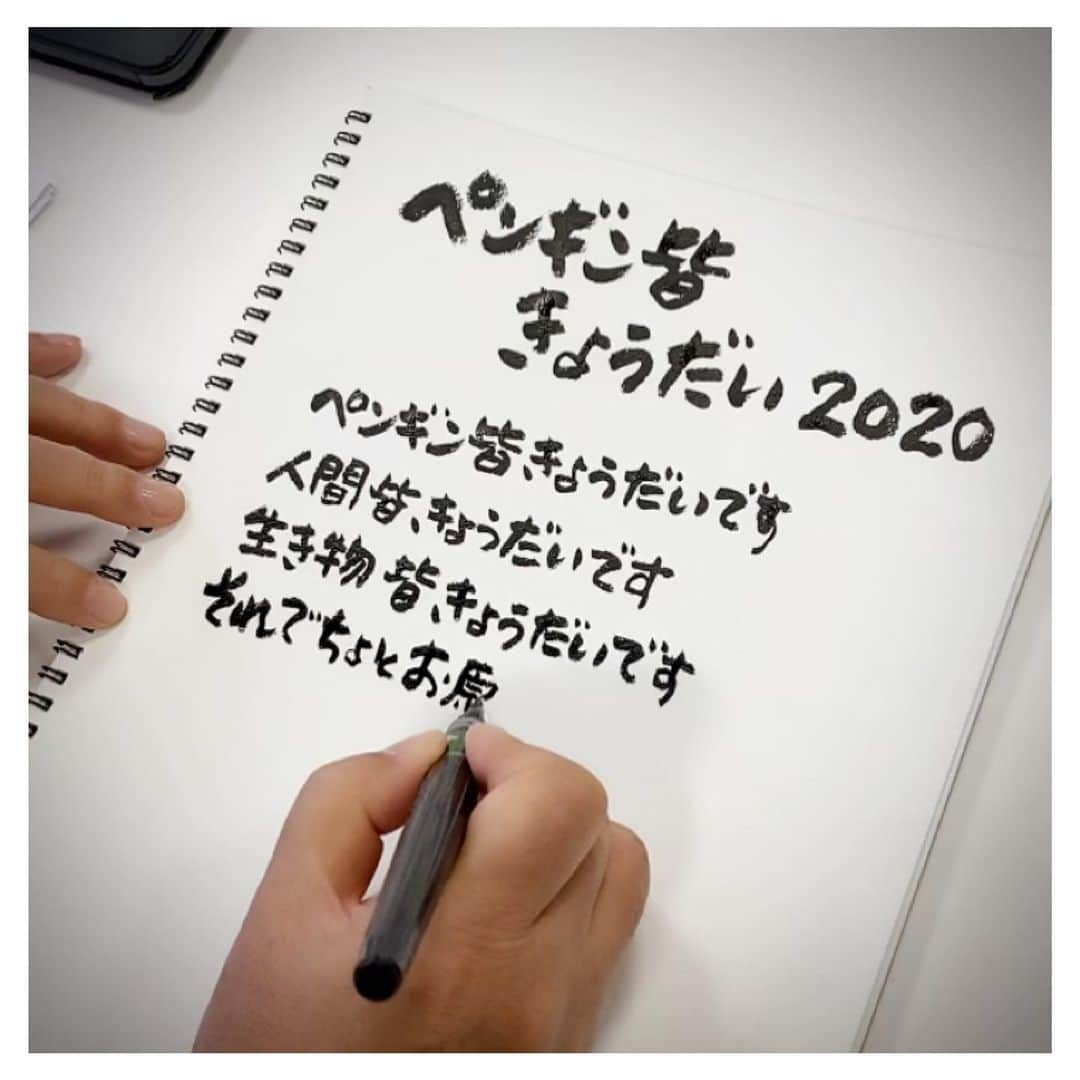 さだまさしさんのインスタグラム写真 - (さだまさしInstagram)「「ペンギン皆きょうだい2020」 ミュージック・ビデオの歌詞は僕が書きました🖊 その時の動画はＭass@Ｍaniaで👀 . #ペンギン皆きょうだい2020  #さだまさし #sadamasashi #さだまさしレゾンデートル #さだまさし存在理由」5月1日 18時09分 - sada_masashi