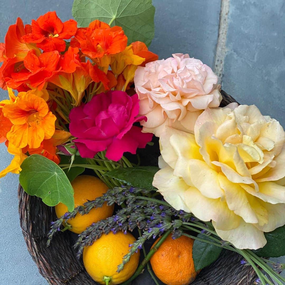 近藤麻理恵さんのインスタグラム写真 - (近藤麻理恵Instagram)「今朝お庭で採れた、オレンジとラベンダーとお花たち。 あと、朝からなぜだか夫が張り切って作ってくれたオムライス（美味）。 . ときめきエネルギー補給して、今日もお仕事もろもろ頑張りましょう😊  ーーーーーーーーーーーーーーーーーー﻿ オンラインサロンでは みんなで日々のときめき力を磨く企画がもりだくさん。﻿ ご興味ある方はプロフィール（ @mariekondo_jp ）﻿のリンクからご覧くださいね。﻿ ーーーーーーーーーーーーーーーーーー﻿ ﻿ ㅤ﻿ #こんまり #konmari #こんまりメソッド #近藤麻理恵 #人生がときめく片づけの魔法 #ときめき #片づけ #片付け #お庭 #お花のある暮らし #ラベンダー  #ハラハラドキドキ」5月1日 9時44分 - mariekondo_jp