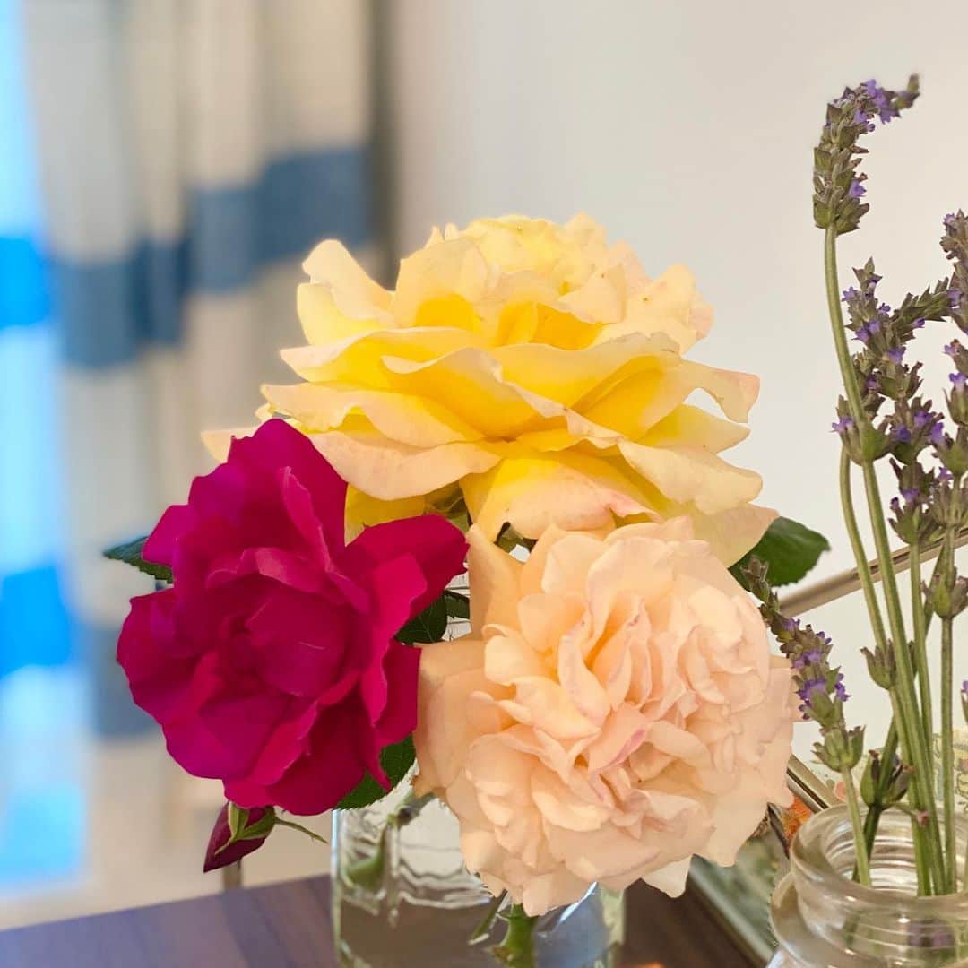 近藤麻理恵さんのインスタグラム写真 - (近藤麻理恵Instagram)「今朝お庭で採れた、オレンジとラベンダーとお花たち。 あと、朝からなぜだか夫が張り切って作ってくれたオムライス（美味）。 . ときめきエネルギー補給して、今日もお仕事もろもろ頑張りましょう😊  ーーーーーーーーーーーーーーーーーー﻿ オンラインサロンでは みんなで日々のときめき力を磨く企画がもりだくさん。﻿ ご興味ある方はプロフィール（ @mariekondo_jp ）﻿のリンクからご覧くださいね。﻿ ーーーーーーーーーーーーーーーーーー﻿ ﻿ ㅤ﻿ #こんまり #konmari #こんまりメソッド #近藤麻理恵 #人生がときめく片づけの魔法 #ときめき #片づけ #片付け #お庭 #お花のある暮らし #ラベンダー  #ハラハラドキドキ」5月1日 9時44分 - mariekondo_jp