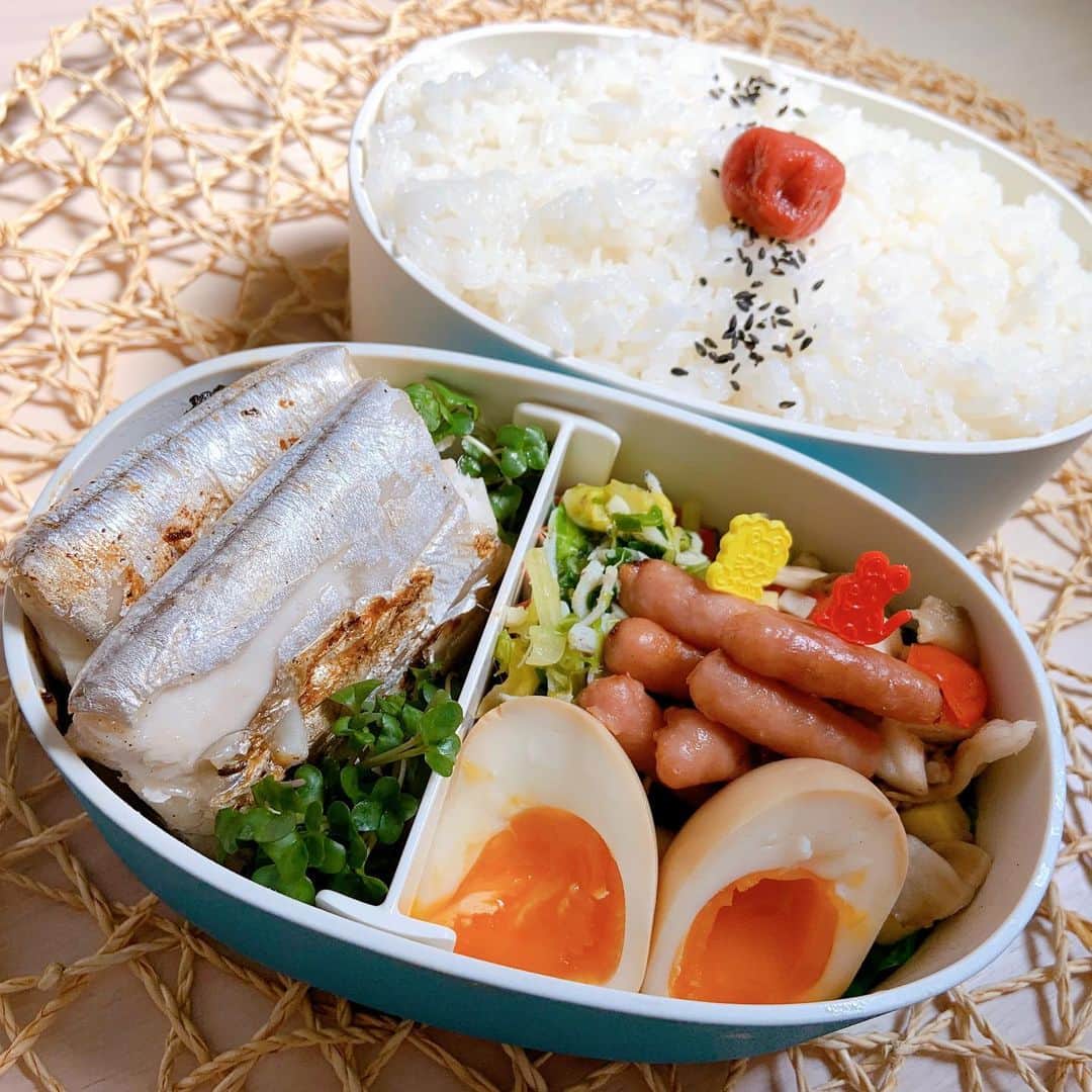 本田しおりのインスタグラム：「#今日のお弁当  #太刀魚の塩焼き #春キャベツとしらすのペペロンチーノ  #ズッキーニと舞茸とトマトのマリネ #煮卵 #ポークピッツ  昨夜寝る前に煮卵作りよったんやけど 茹で卵剥くのガミちゃんに手伝ってもらったら３つ剥いてくれたうち２つぐちゃぐちゃ😇漬けれないので2人でアジシオかけて半熟茹で卵として食べたとさ  #お弁当 #本田弁当 #旦那さん弁当 #神ちゃん弁当」