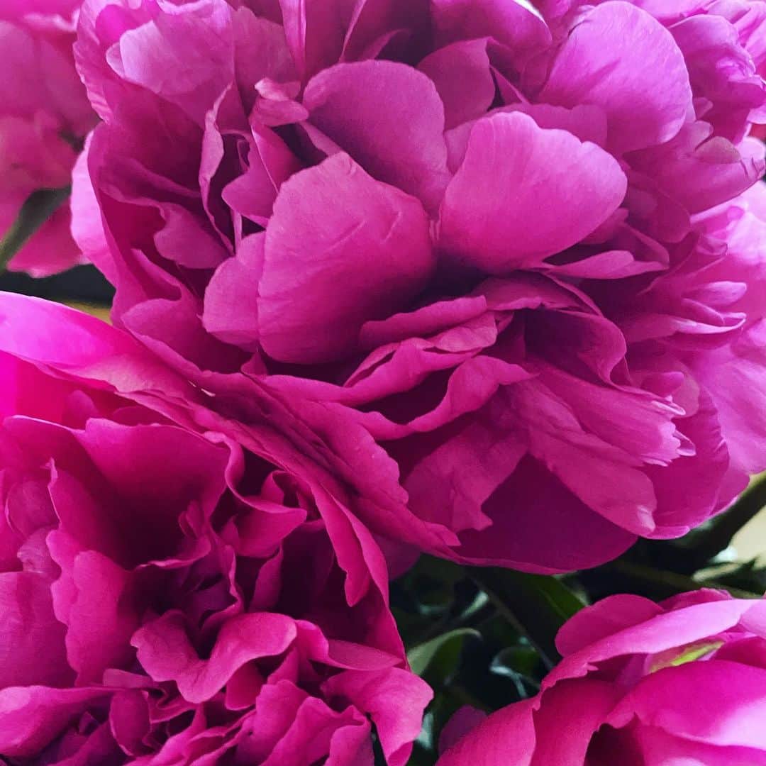 HiRAO INCさんのインスタグラム写真 - (HiRAO INCInstagram)「. . フロントラインで働いて頂いている方々、毎日本当にありがとうございます。  感謝の花を贈る気持ちで 花を飾ります。  個人で出来ることをひき続き。 #stayathome」5月1日 12時05分 - kayokohirao
