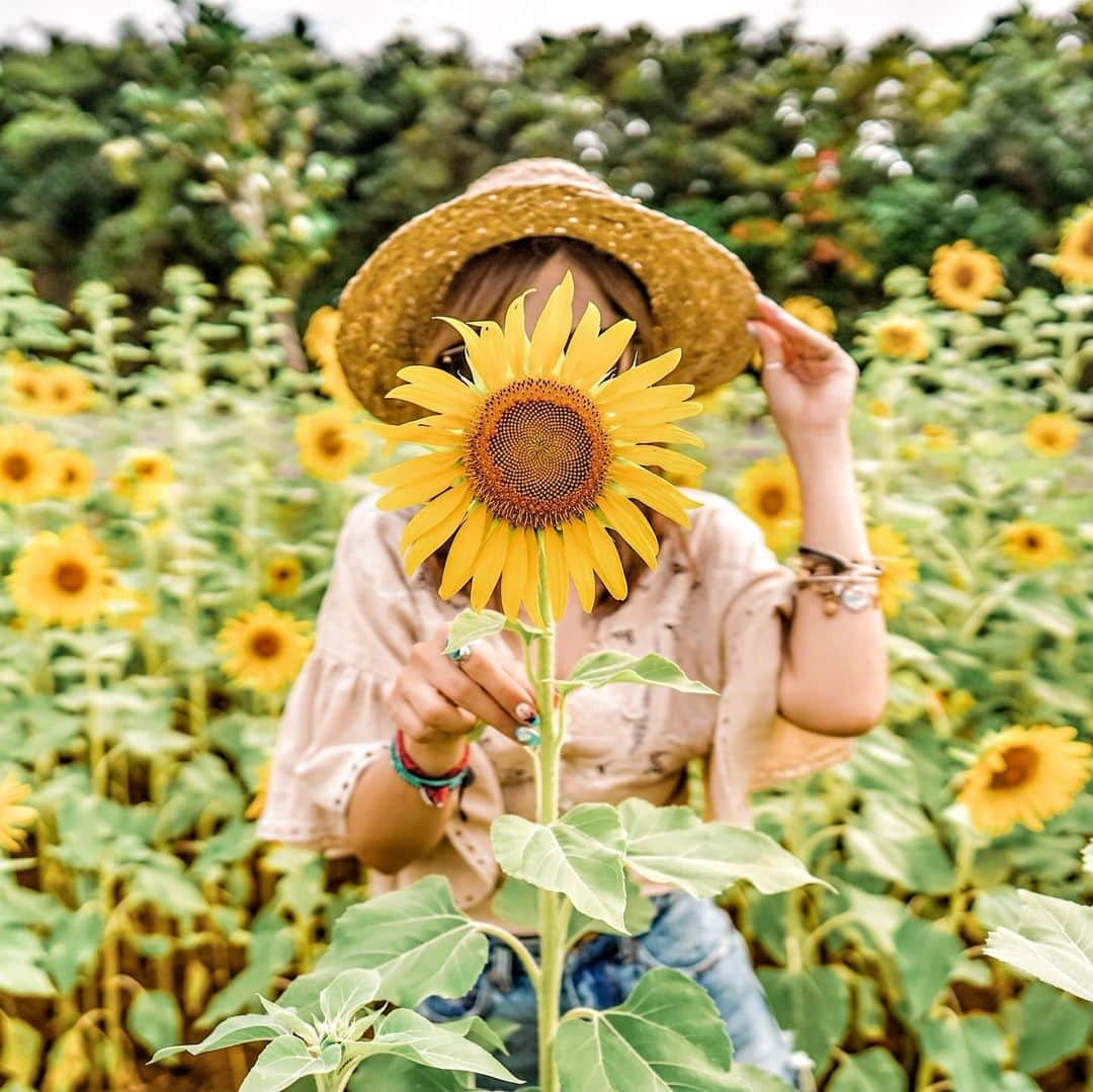 𝐂𝐎𝐂𝐎𝐍𝐀さんのインスタグラム写真 - (𝐂𝐎𝐂𝐎𝐍𝐀Instagram)「今日から5月start〜🌻 あっつ〜い🏖  前にも出したけど、 か〜なりお気に入りだし、 元気になれるから向日葵pic 失礼します🥳  もう、暖かい場所はもう咲きはじめてるよね？  まだまだ自粛が続くけど、 #stayhome で、頑張ろう😎🤟 #  #宮古島　#今は行かないでね🙏　。  #今日から5月 #向日葵 #ひまわり畑 #sunflower #太陽の花#旅の思い出 #いつ行けるかな　#okirakuphoto」5月1日 12時12分 - cocona_66