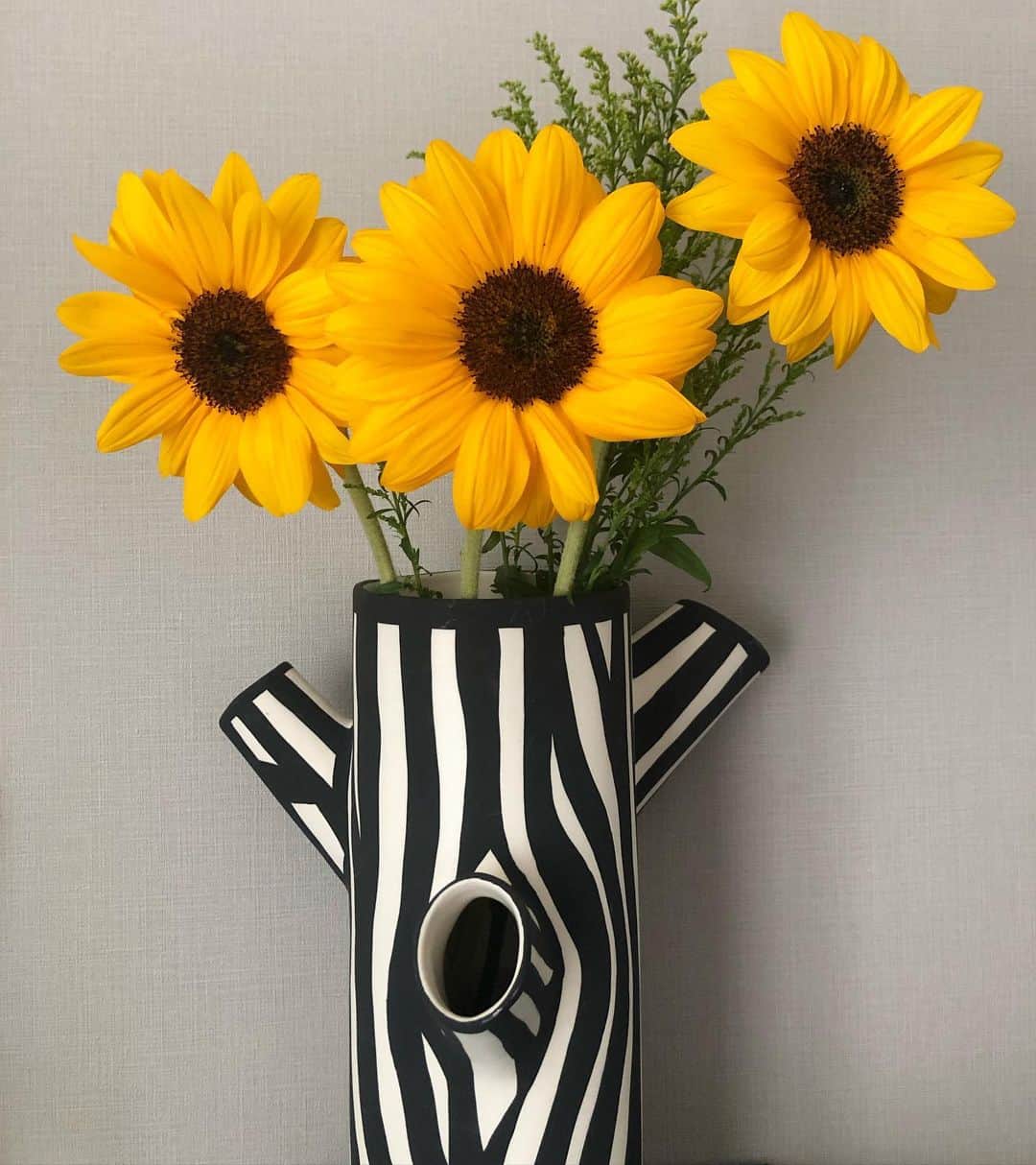 chocomooのインスタグラム：「MAY🌻🌻🌻」