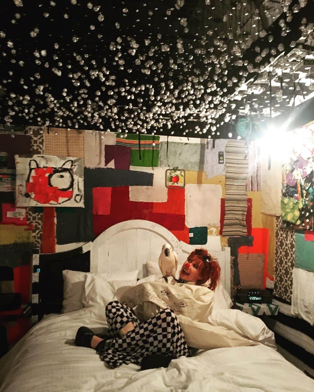ボニー・モーガンさんのインスタグラム写真 - (ボニー・モーガンInstagram)「#tbt at my happy place @petitermitagehotel in room 406 celebrating @greg_haberny in all his marvelous madness... and Picci #adventuresofbendybonnie #petitermitage #room406 #greghaberny #artistinresidence #picci #madness #shenanigans #marvelousmadness #straightjacket #happyplace #bendybonnie」5月1日 13時24分 - bendybonnie