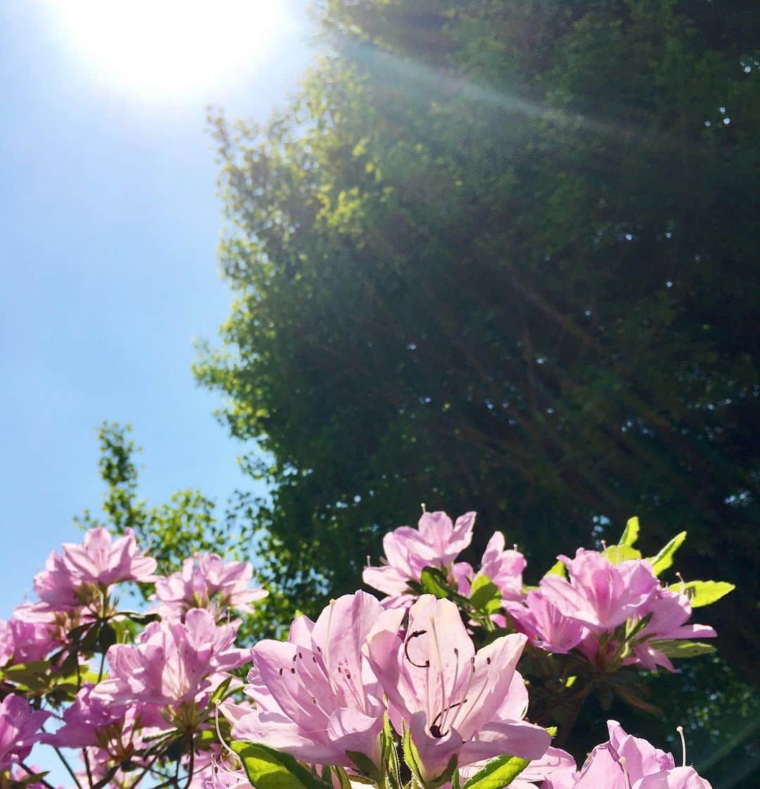 のインスタグラム：「色々な想いを抱きながら。」