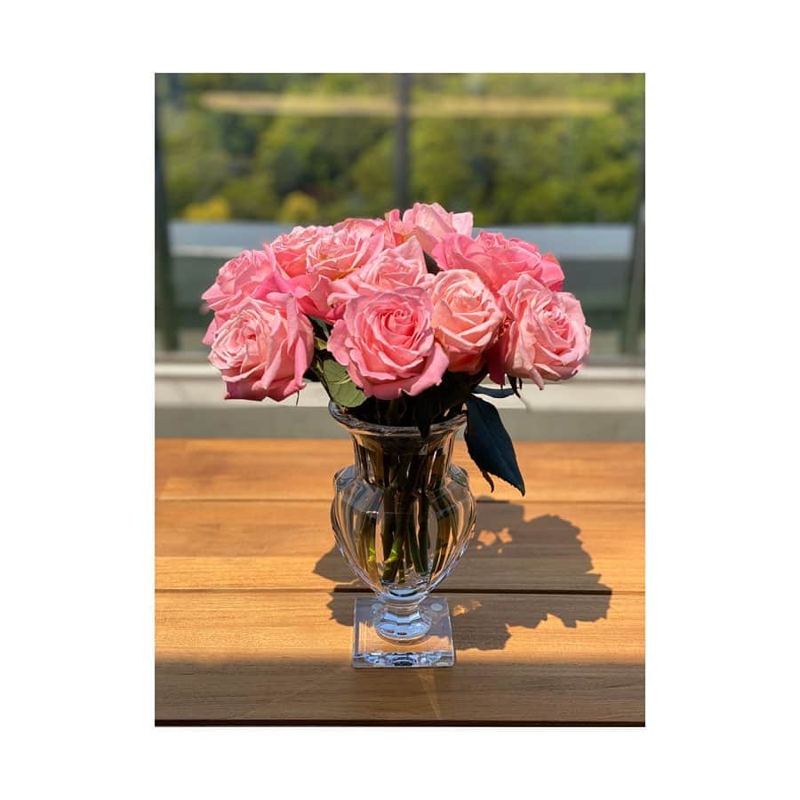 神田うのさんのインスタグラム写真 - (神田うのInstagram)「お待たせ致しました❣️ 頂いたコメントで、そのお花をどのように、そしてどんな花瓶に生けたか見たいとの事。 慌てて写真に収めました（笑） 6つ前？の記事のお花をどのように生けたかお見せしますね☺️ 1枚目は先日買った薔薇です。 2枚目のスプレーバラ🌹は縁が小さいピンクのおリボン🎀と薔薇のモチーフが可愛くて購入した陶器の花瓶です。ヘレンドのものです。 3枚目は縁は丸くて足は四角いデザインのクリスタルガラスの花瓶。友人💕からの贈り物でバカラのものです。 4枚目はただのガラス素材の四角い花瓶です。どこのものでもありません。 5枚目は3本の長さを変えて段々になるように生けています🌹🌹🌹 フラワーベースは薔薇の蕾のモチーフで一目見た瞬間気に入り😍即買いしました（笑） バカラのものです。 以上になります。 また何かありましたら出来る範囲でお応えしていきますね☺️ YouTubeのコメントも読ませて頂きますのでこんなのやって欲しいとか見せて欲しいとかありましたらもちろん出来る事出来ない事がありますが出来る範囲でお応えしていきたいと思っています❤️ #お花と花瓶のコーディネート#お花と花瓶#お花とフラワーベース#お花#花瓶#フラワーベース#flower#flowers#flowerbase#薔薇#赤い薔薇#ピンク薔薇#ピンクの薔薇#赤薔薇#redrose#redroses#red#roses#rose#pink#pinkroses#pinkrose#神田うの#unokanda#stayathome#stayathome#ステイホーム」5月1日 13時55分 - unokandaofficial