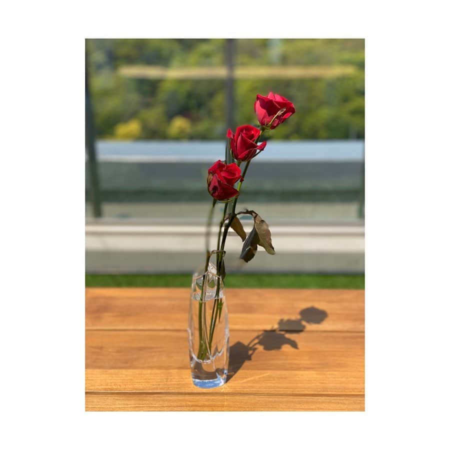 神田うのさんのインスタグラム写真 - (神田うのInstagram)「お待たせ致しました❣️ 頂いたコメントで、そのお花をどのように、そしてどんな花瓶に生けたか見たいとの事。 慌てて写真に収めました（笑） 6つ前？の記事のお花をどのように生けたかお見せしますね☺️ 1枚目は先日買った薔薇です。 2枚目のスプレーバラ🌹は縁が小さいピンクのおリボン🎀と薔薇のモチーフが可愛くて購入した陶器の花瓶です。ヘレンドのものです。 3枚目は縁は丸くて足は四角いデザインのクリスタルガラスの花瓶。友人💕からの贈り物でバカラのものです。 4枚目はただのガラス素材の四角い花瓶です。どこのものでもありません。 5枚目は3本の長さを変えて段々になるように生けています🌹🌹🌹 フラワーベースは薔薇の蕾のモチーフで一目見た瞬間気に入り😍即買いしました（笑） バカラのものです。 以上になります。 また何かありましたら出来る範囲でお応えしていきますね☺️ YouTubeのコメントも読ませて頂きますのでこんなのやって欲しいとか見せて欲しいとかありましたらもちろん出来る事出来ない事がありますが出来る範囲でお応えしていきたいと思っています❤️ #お花と花瓶のコーディネート#お花と花瓶#お花とフラワーベース#お花#花瓶#フラワーベース#flower#flowers#flowerbase#薔薇#赤い薔薇#ピンク薔薇#ピンクの薔薇#赤薔薇#redrose#redroses#red#roses#rose#pink#pinkroses#pinkrose#神田うの#unokanda#stayathome#stayathome#ステイホーム」5月1日 13時55分 - unokandaofficial
