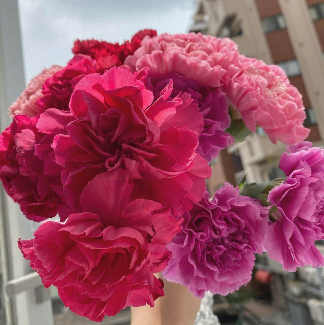 本郷多香子さんのインスタグラム写真 - (本郷多香子Instagram)「小学校の頃から 生け花を習っていたんだけど もう一度習い直したい🌷  年を重ねるにつれて 逆にピンクの花が好きになる💐  #flower#flowerstagram #flowerphotography  #pink#love#appriciate」5月1日 14時07分 - tkk0101