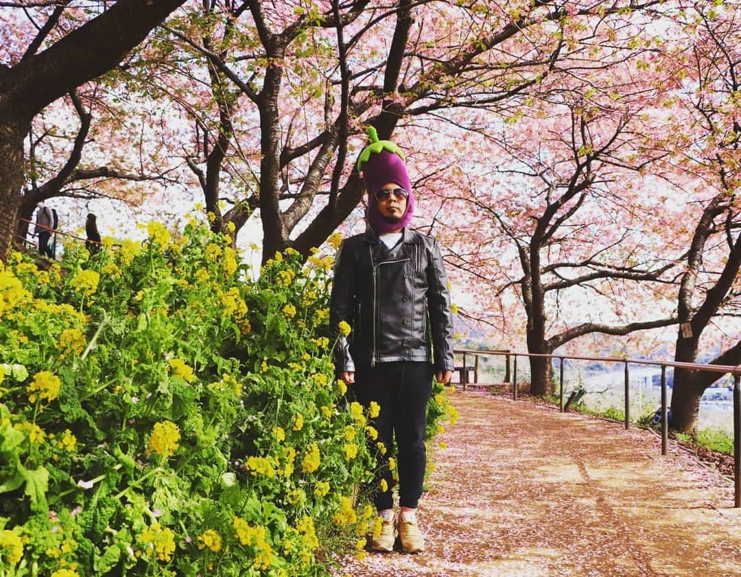 川原克己 さんのインスタグラム写真 - (川原克己 Instagram)「桜の木を揺らす 短髪の母 落ちてくる花びらをよける 長髪の父 #花見 #桜なすび」5月1日 14時15分 - tenjikunezumikawahara