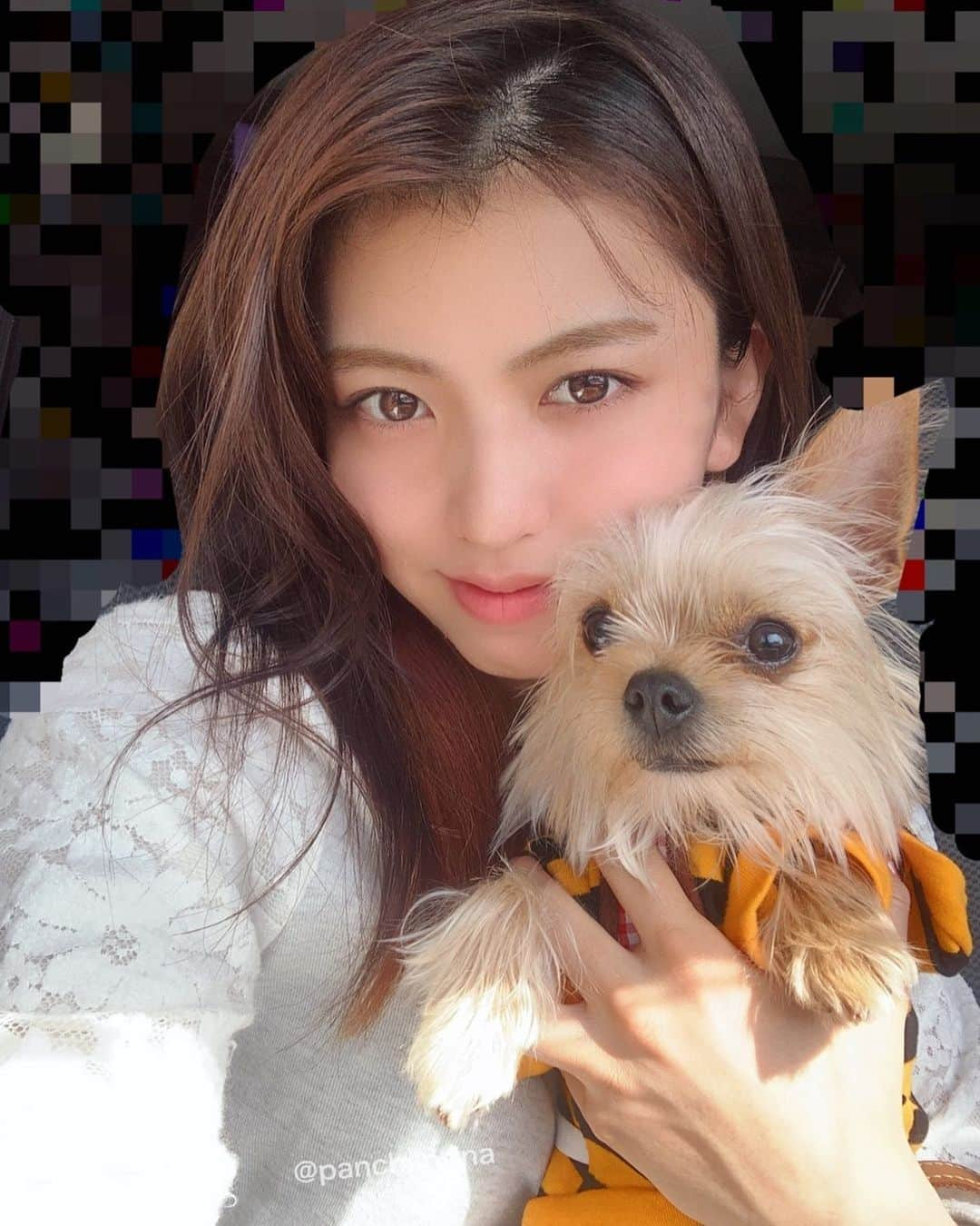 ぱんちゃん璃奈さんのインスタグラム写真 - (ぱんちゃん璃奈Instagram)「しばらく前髪無しにしようかなー。  #ぱんちゃんるんた　#日向ぼっこ #楽宝　#美容院行きたい  #前髪悩む　#自撮り女子」5月1日 14時42分 - panchanrina