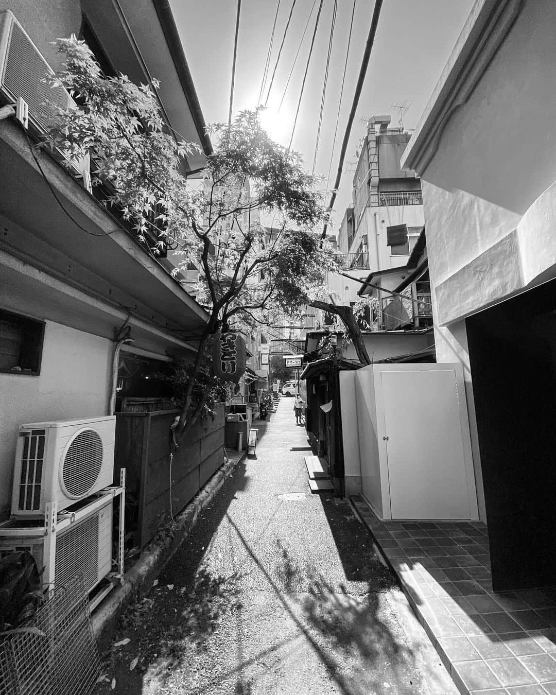 のインスタグラム：「#streetphotography #storyofthestreet #streetscenesmag #streetoftokyo #streetcinematography #streetoftones #kaishishido #iphone11pro #nostalgic #tree #monochrome #photography」