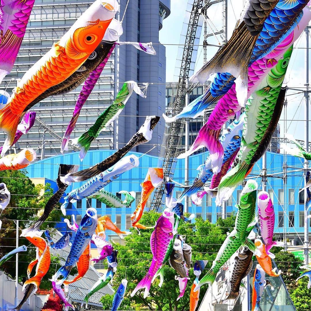 The Japan Timesさんのインスタグラム写真 - (The Japan TimesInstagram)「The Japanese government is asking people to stay at home in order to curb the ongoing coronavirus pandemic. Instead of going out, swipe through and enjoy these "koinobori" carp streamers at Tokyo Dome, which are decorations for Children's Day. The holiday was renamed from Boys' Day to its current name in 1948 to include all kids. 📸 @miura.yoshiaki . . . . . . #Japan #Tokyo #TokyoDome #ChildrensDay #Koinobori #travel #city #日本 #東京 #東京ドム #こどもの日 #子供の日 #鯉のぼり #こいのぼり #旅行 #撮影 #🎏」5月1日 15時55分 - thejapantimes