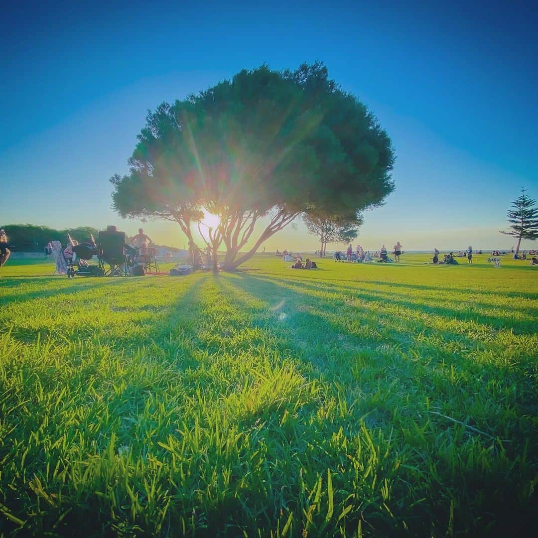 meg rockのインスタグラム：「🇦🇺 #2019 #december #summer #summer2019 #summertime #summervibes #throwback #tb #beforequarantine #memories #beach #park #sunset #australia #westernaustralia #wa #fremantle #southfremantle #southfreo #freo」
