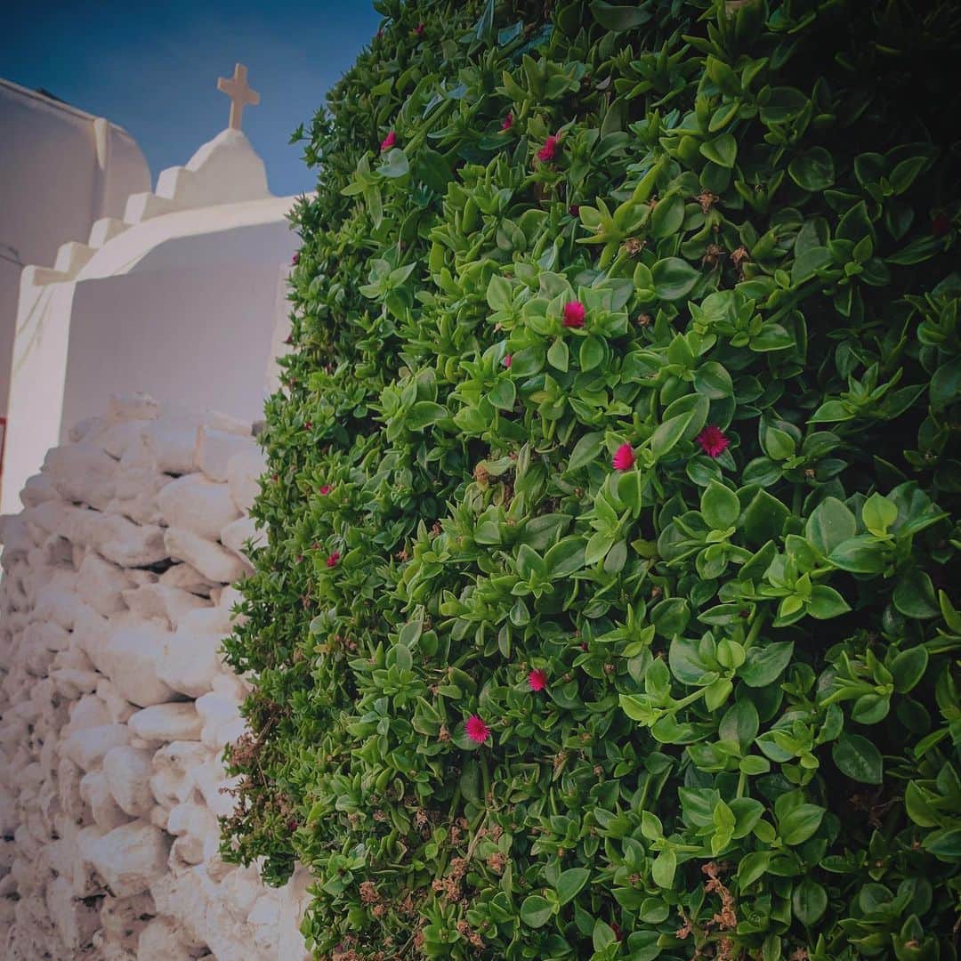 meg rockのインスタグラム：「🇬🇷 #2019 #november #summer #summer2019 #eurosummer #summertime #summervibes #throwback #tb #beforequarantine #memories #greece #mykonos #europe #euro #eu」