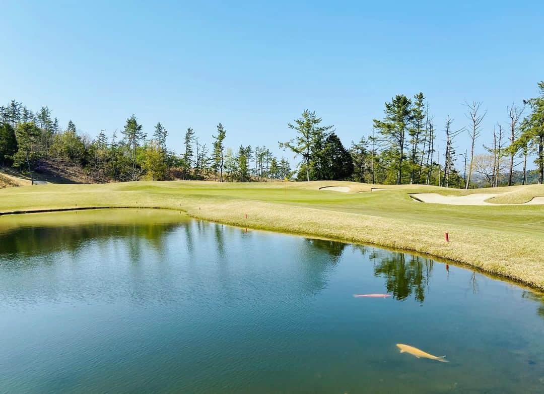 セキユウティンのグルメインスタ