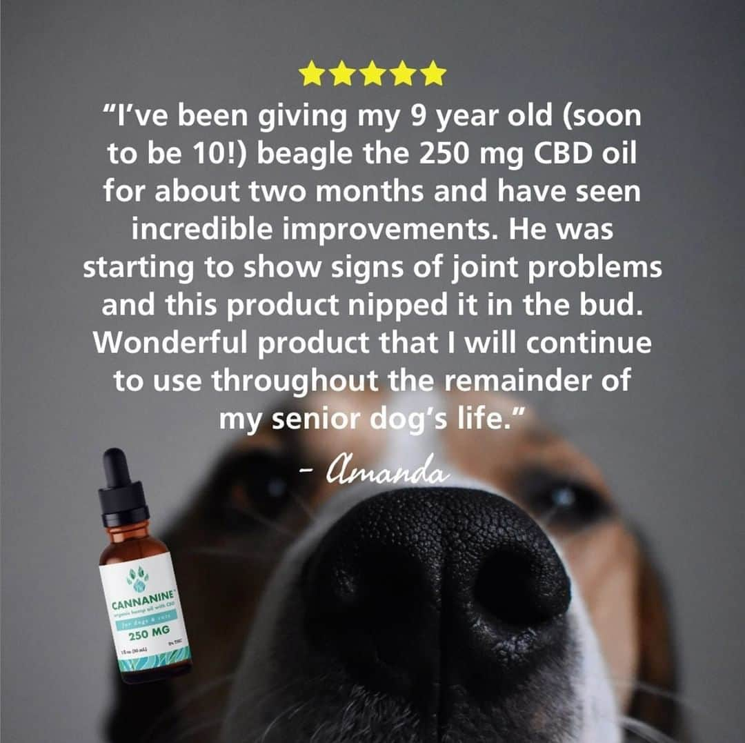 Animalsのインスタグラム：「We love reading stories like this! The @cannaninecbd brand is 3rd party-tested, THC free, and risk-free with a 90 day money-back guarantee. 💙 Plus, every bottle sold donates 7 meals to shelter dogs in need! Learn more or purchase thru link in @cannaninecbd bio.」