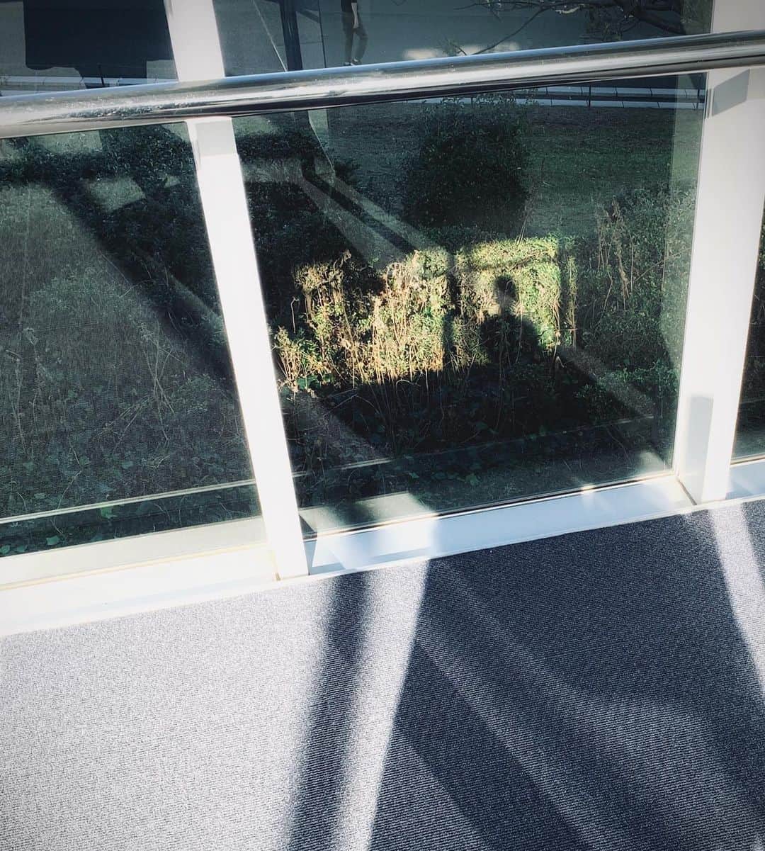 Halのインスタグラム