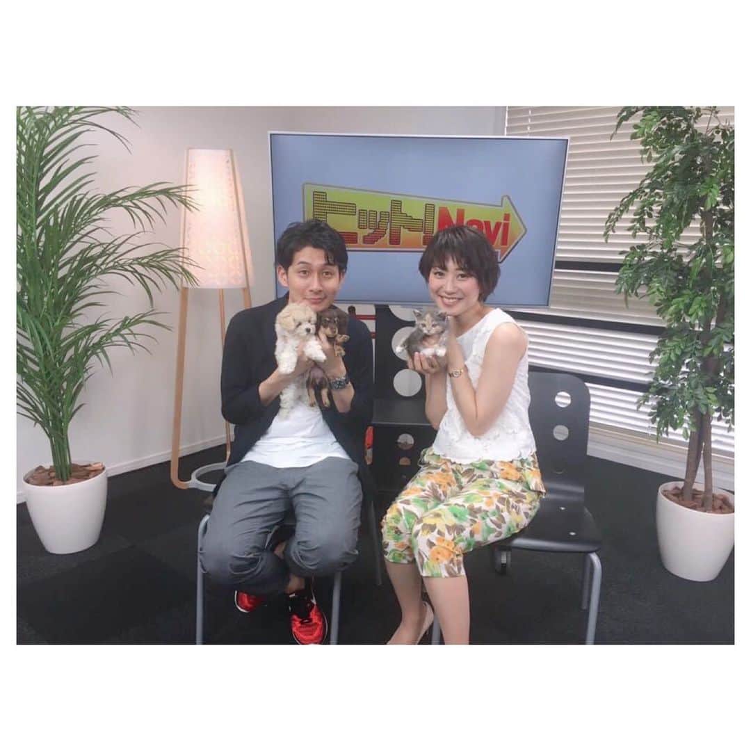 佐々木瞳さんのインスタグラム写真 - (佐々木瞳Instagram)「【番組終了のお知らせ🙇‍♀️】 ※写真は2020年1月より前のものです📸 ・ 先週4月26日(土)の放送をもって、福島放送「ヒット！Navi」が最後の放送となりました🍀 https://www.kfb.co.jp/sp/tv/hitnavi/ ・ 本来だと今月5月末までだったのですが、コロナの影響で1か月早まってしまいました😭 残念ですが、仕方ないです😢 ・ 番組自体は2015年10月～、私は2016年6月～出演させて頂きました。気付いてみたら約4年間番組を担当してきました🎤✨ ・ スタジオで商品を紹介や試食をしたり、ディズニー映画のレッドカーペットでレポートや監督・俳優の皆さんにインタビューしたり、車の試乗体験したり、コスプレしたり（笑）する等本当に色々なことを経験させて頂きました🌸 ・ 一緒に出演して頂いたゲットナビ編集部の皆さん、出演頂いた商品やサービス等のクライアントの皆様、ゲストの皆様、福島放送の皆さん、トラストネットワークの皆さん、衣装提供頂いたcnlzさん、smeraldaさん、ヘアメイクの奈月さん、本当にありがとうございました‼️毎回明るく、本当に楽しい現場でした☺️💕 そして、ご視聴頂いた福島の皆さん、HPでご覧頂いた皆さん、本当にありがとうございました‼️ ・ ・ 番組は終わってしまいましたが、これからも福島には関わっていきたいので、福島の皆さん、宜しくお願いします🙇‍♀️🍑 ・ 文化放送では、引き続きレポーターとしてお世話になっています🎤 ・ これからも宜しくお願い致します🎤✨ #ヒットナビ #福島放送 #トレンド情報 #思い出写真 #テレビ番組最終回 #ありがとうございました」5月1日 19時18分 - hitomihappygirl1026