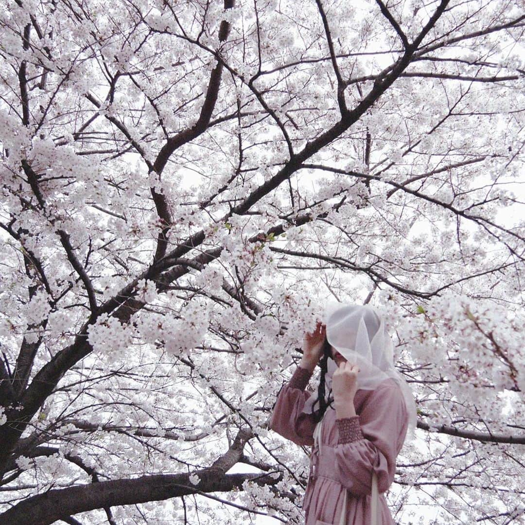 川本莉菜さんのインスタグラム写真 - (川本莉菜Instagram)「3月の桜が満開だった頃。 2年ぶりに見た桜はいつもにまして綺麗に見えた。 . 友達の作撮りをお手伝いして何だか学生に戻った気分だった。 . 撮影だけパパッとしてすぐ帰ったので来年はお花見出来たらいいな、、、🌸 . . . #ad #me #photoshoot #cherryblossom #作撮り　#桜」5月1日 20時39分 - kawamoto.rina