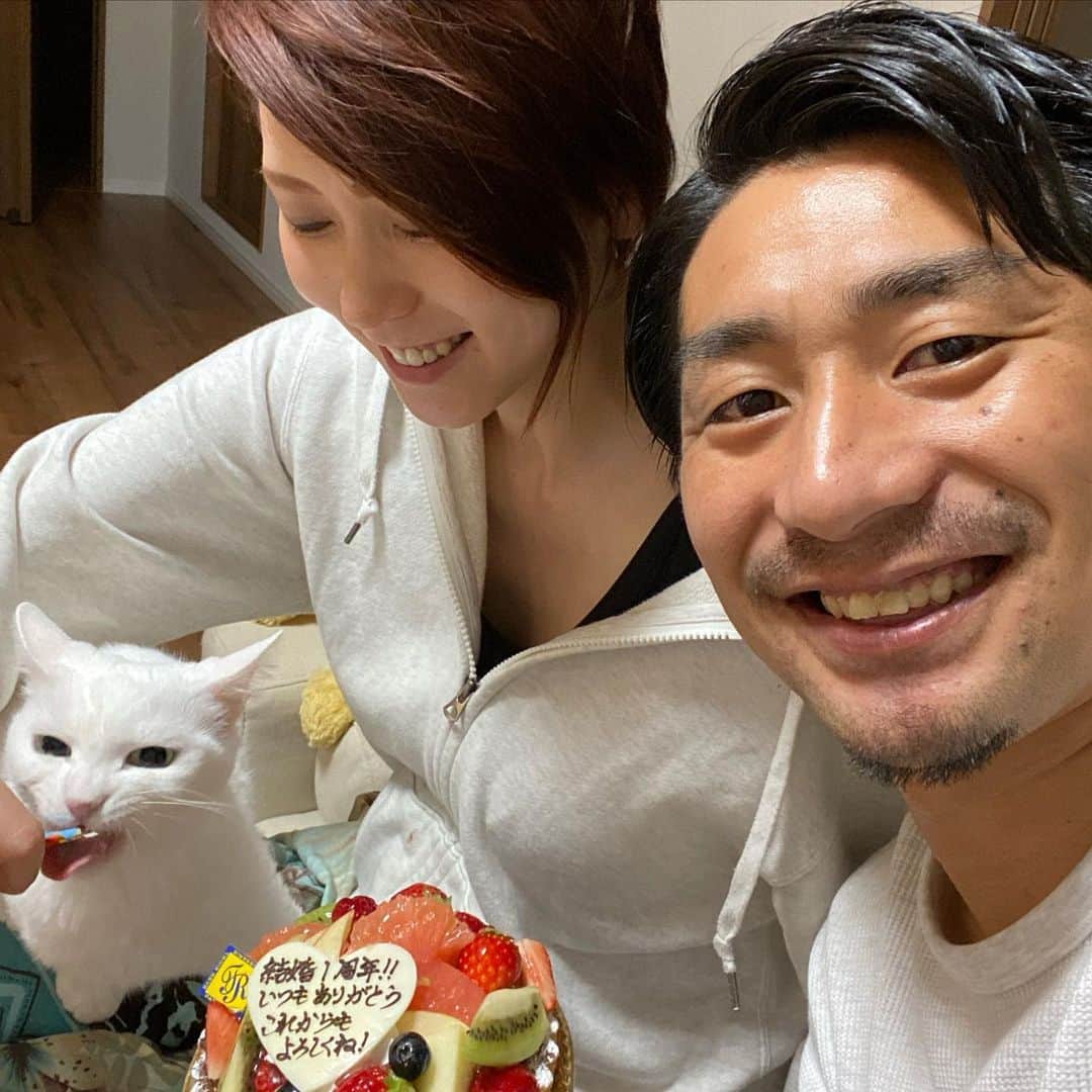河内勇太のインスタグラム：「1st Anniversary🎉 Yuta⚽️&Mai👗&Lumi🐱 #結婚1周年 #catlife #マンチカン」