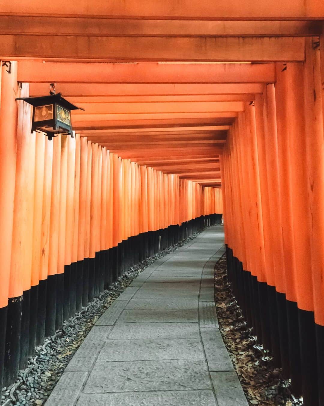 woody_chaiのインスタグラム：「.」