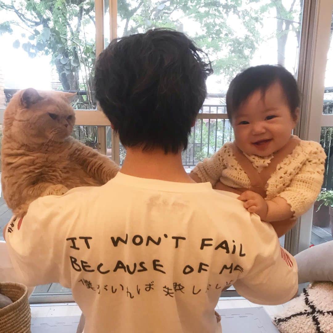 濱中鮎子のインスタグラム：「チャイくん、10歳になりました！  我が家に来たのは４歳の頃。 里親募集のサイトを見たのが出会いでした。 今では大切な大切な家族です。  神さまが我が家に来てもう6年？！ 色々なことがありました。  幸せばかり招いてくれる。 幸せのかたまり。  うんと長生きしてね。 うんと愛してます。 出会ってくれてありがとう。 生まれてきてくれてありがとう。 お嬢のおにぃを頑張ってくれてありがとう。 おにぃ役を自分のタイミングで休んだり再開したりする感じが大好きよ。  #chaibirthday  #cat #ネコ #小心者の親分 #チャイ坊 #チャイ #chai #britishshorthair #ブリティッシュショートヘア #クラッシュフェイス #ぶチャイく #愛の交歓」
