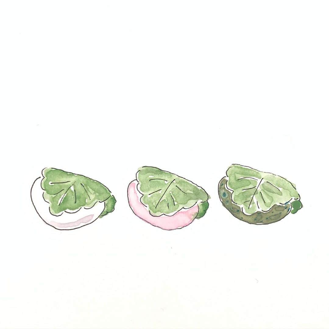 ハルペイさんのインスタグラム写真 - (ハルペイInstagram)「🎏 5月といえば柏餅だね☺️ 4月から食べてるけど❤️ . つぶあん、みそあん、こしあん… そのほかもあるのかな？ 私はよもぎもちのつぶあんが好きよ✨❤️ . #柏餅#かしわ餅  #和菓子 #食べ物イラスト#wagashi .  #harupei#ハルペイ#doodle#draw#drawing#illustrator#illustration#japan#絵#雑貨#湘南#イラスト#イラストレーター#ゆるい#茅ヶ崎」5月1日 22時06分 - harupeipei